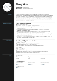 online marketing consultant