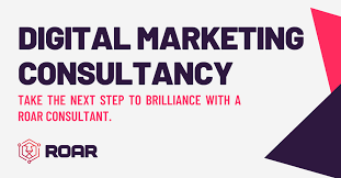 digital marketing consultant