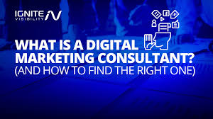 internet marketing consultant