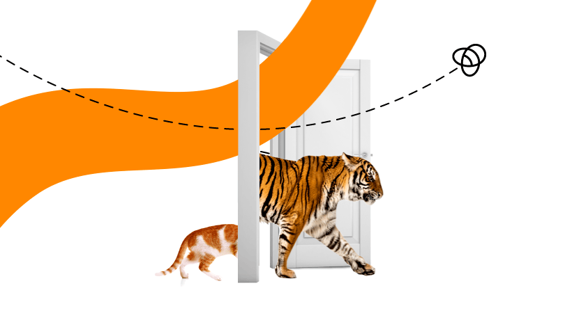 international digital agency